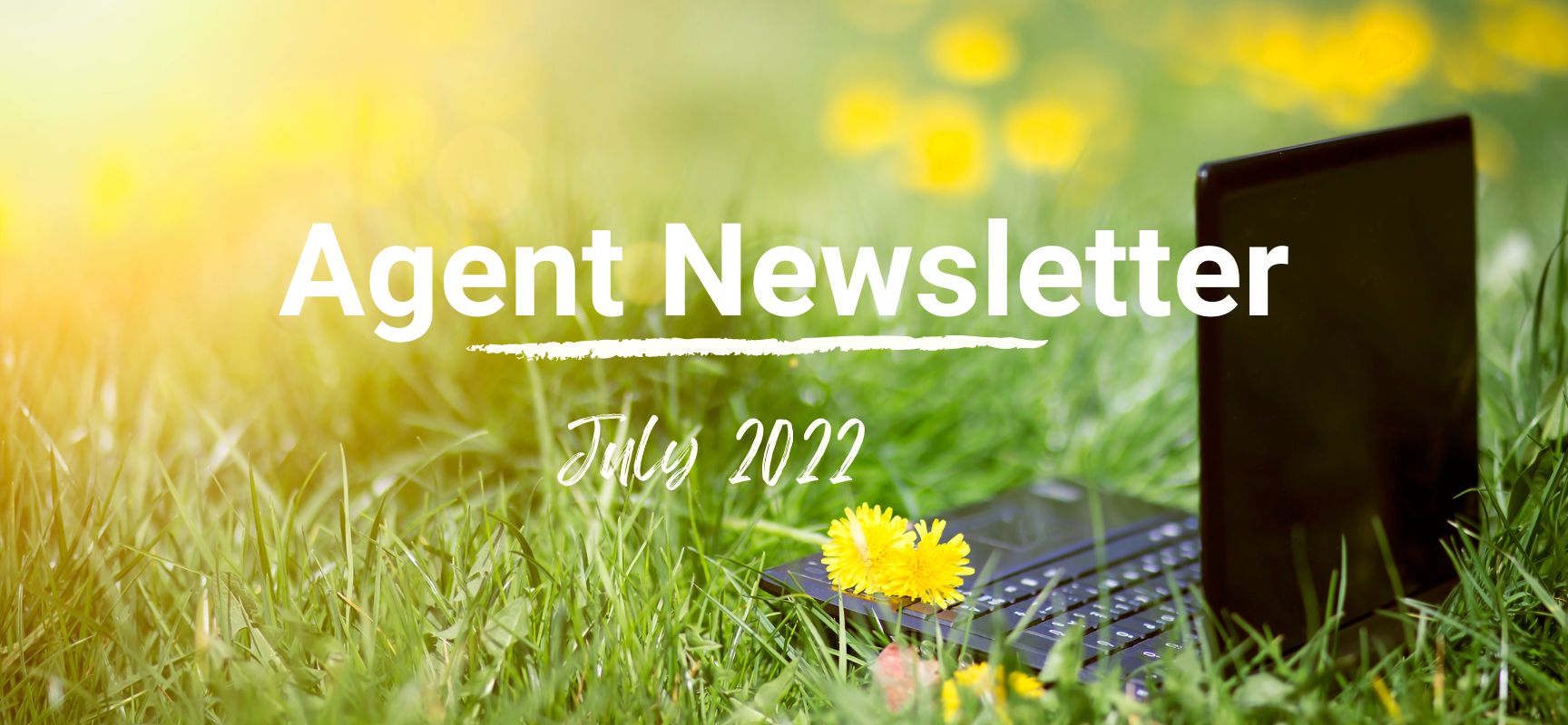 July 2022 Donegal Agent Newsletter