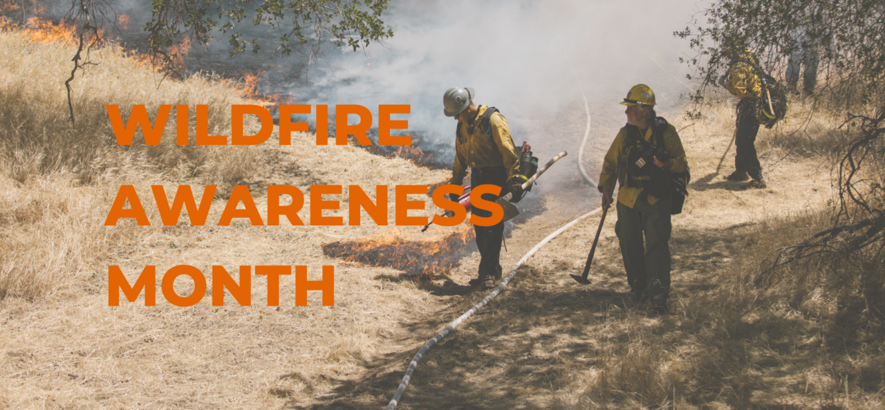 National Wildfire Awareness Month Donegal Insurance Group Blog