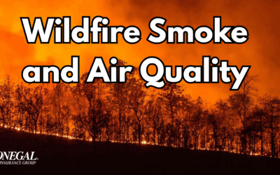 Wildfire Smoke and Air Quality: What Homeowners and Businesses Need to Know