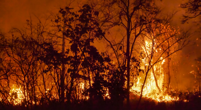 As Wildfire Risk Grows, Preparation Matters More Than Ever